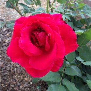 Meet your Posher, Karen